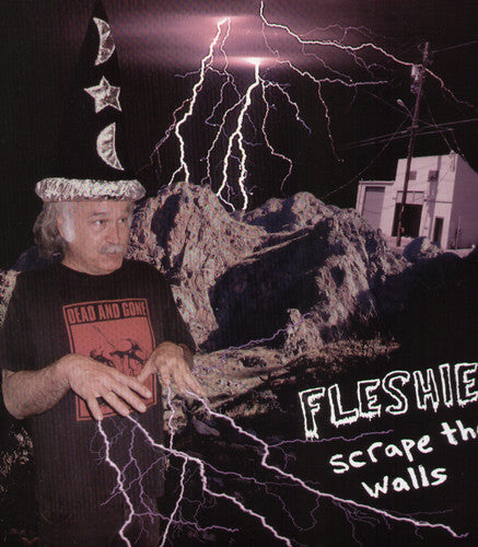 Fleshies Scrape the Walls - Record Album - Vinyl LP
