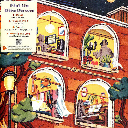 Flofilz Dim Down - Record Album - Vinyl LP