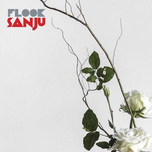 Flook Sanju - Record Album - Vinyl LP