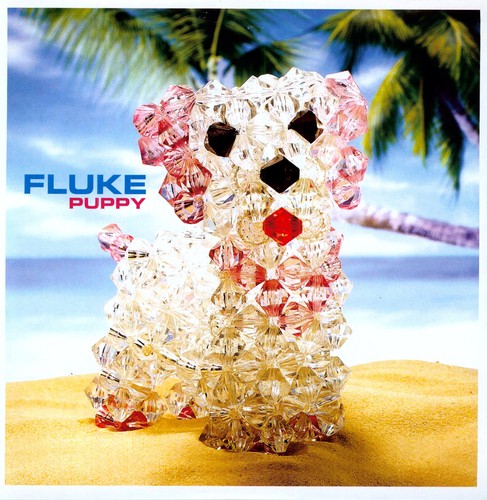 Fluke Puppy - Double Record Album - Vinyl LP