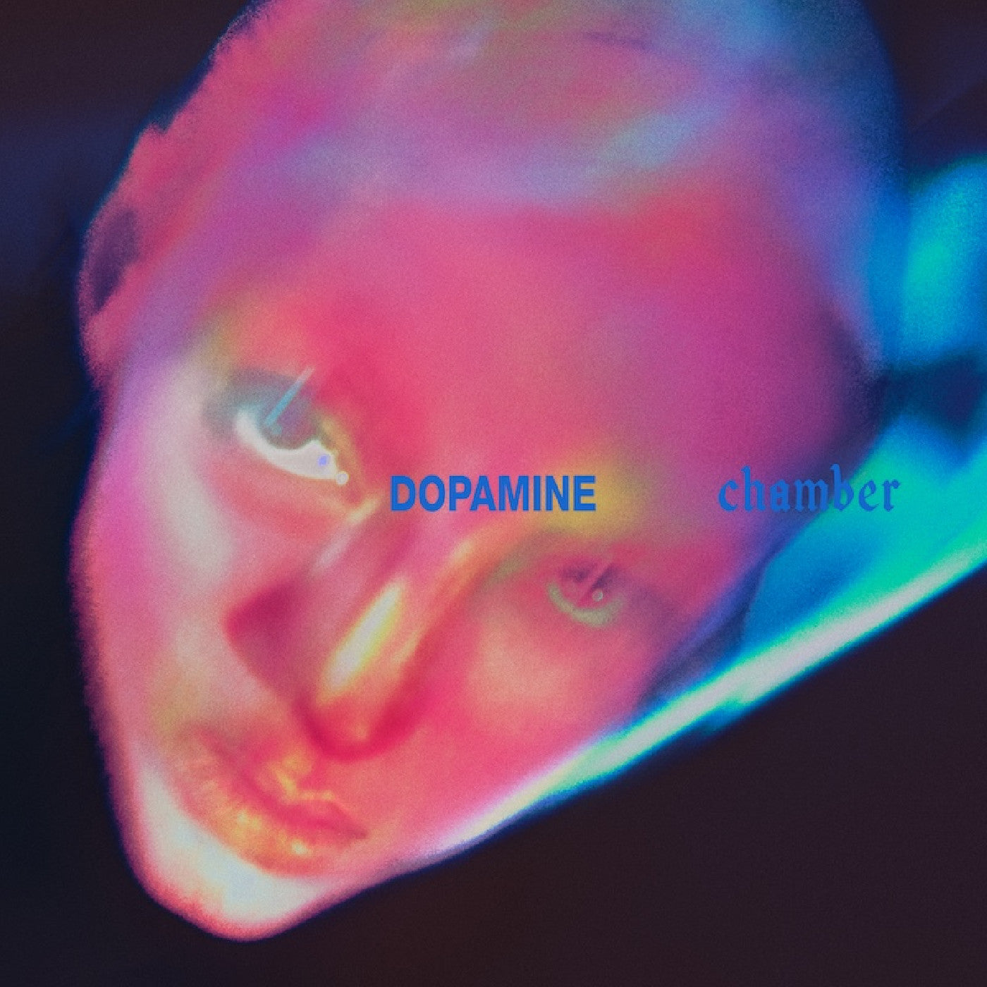 Fontaines D.C. Dopamine Chamber (Blue Vinyl)