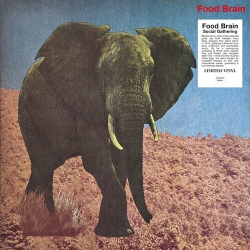 Foodbrain Social Gathering - Record Album - Vinyl LP