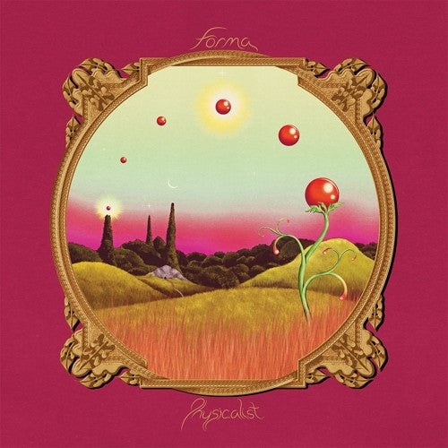 FORMA Physicalist - Double Record Album - Vinyl LP