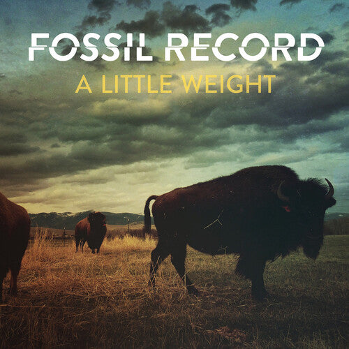 Fossil Record A Little Weight - Record Album - Vinyl LP