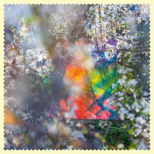 Four Tet Sixteen Oceans - Record Album - Vinyl LP
