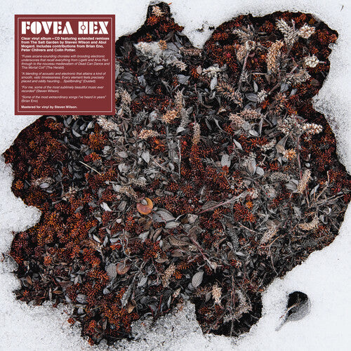FOVEA HEX The Salt Garden (Clear Vinyl) - Double Record Album - Vinyl LP