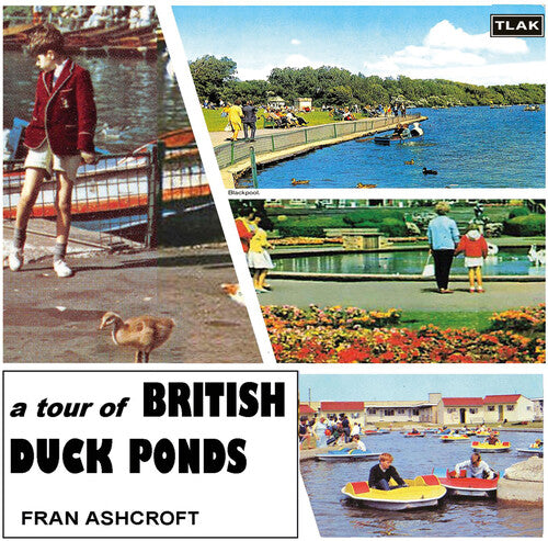 Fran Ashcroft A Tour Of British Duck Ponds - CD Album
