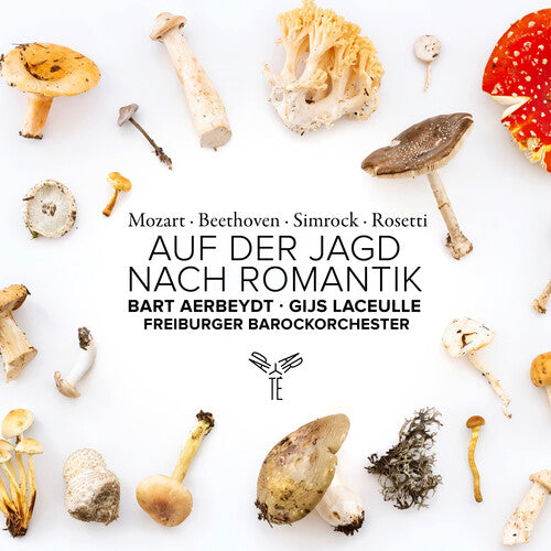 Freiburger Barockorchester Auf Der Jagd Nach Romantik - CD Album