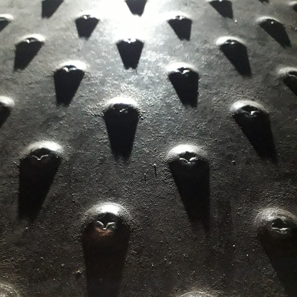 FRIEDL/SIEWERT Lichtung