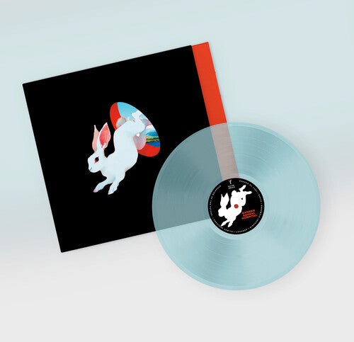 Ganser Animal Hospital - Blue - Record Album - Vinyl LP