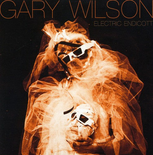 GARY WILSON Electric Endicott - CD Album