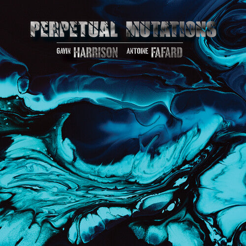 Gavin Harrison Perpetual Mutations - Record Album - Vinyl LP