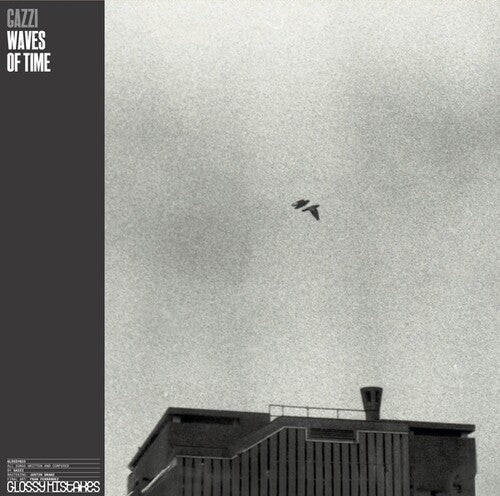Gazzi Waves Of Time - Record Album - Vinyl LP