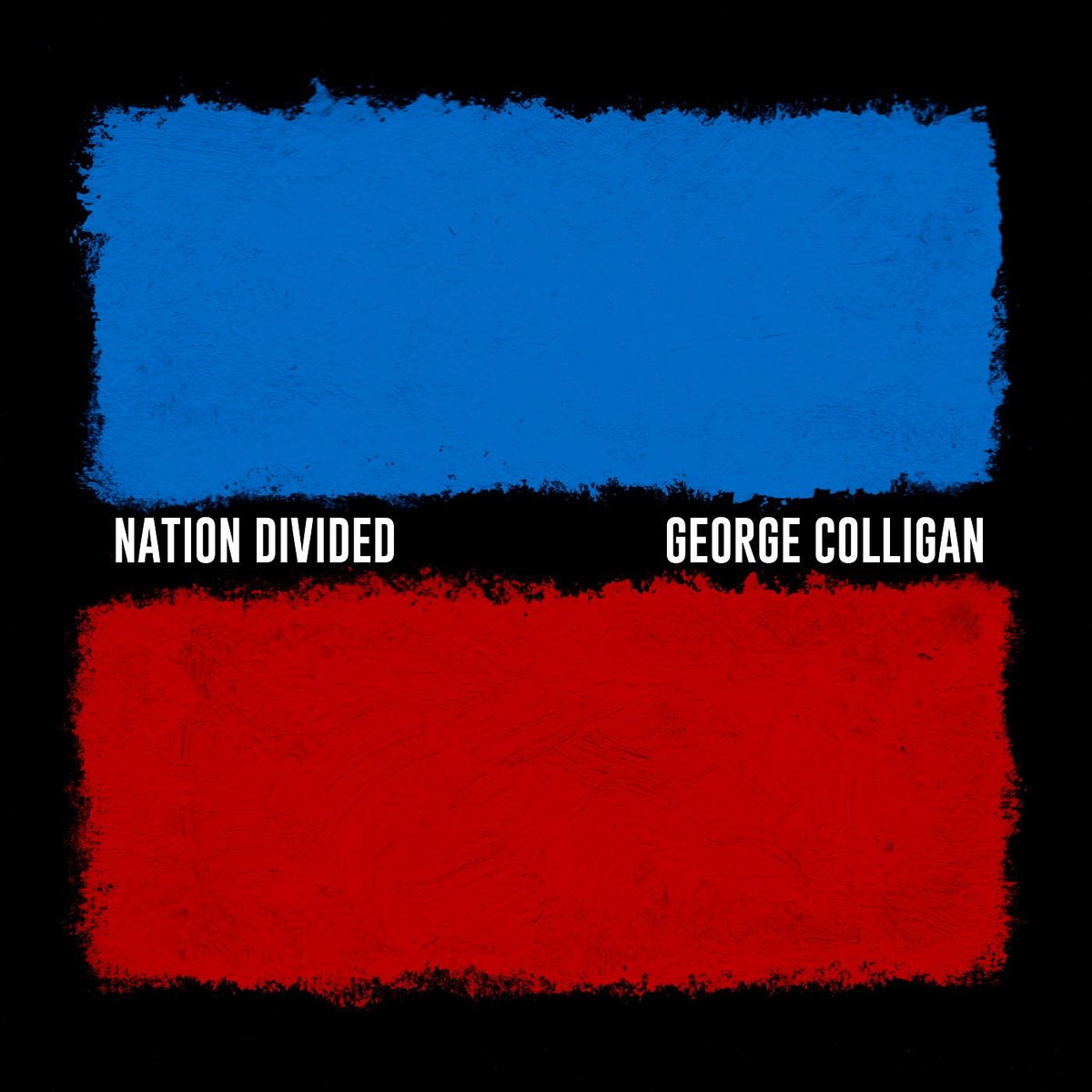 George Colligan Nation Divided