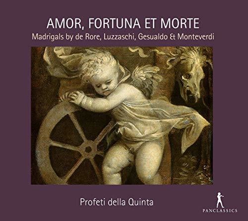 Gesualdo / Profeti Della Quinta Mountains - CD Album