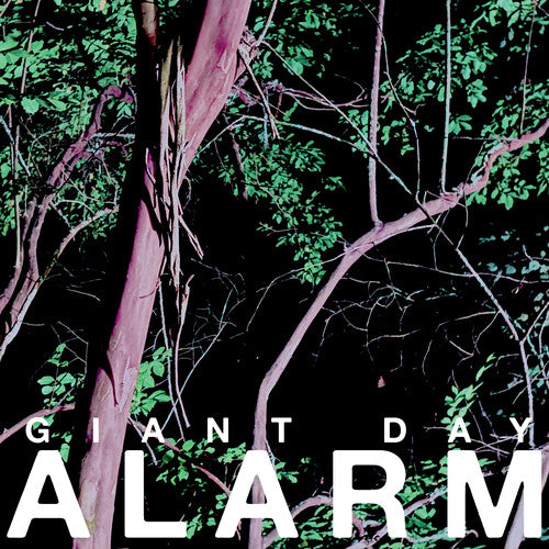Giant Day Alarm - Record Album - Vinyl LP