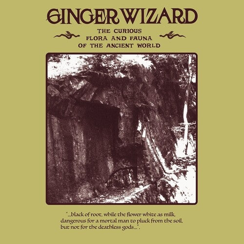 Ginger Wizard The Curious Flora And Fauna Of The Ancient World - Record Album - Vinyl LP