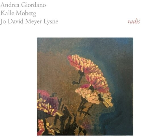 Giordano, Andrea / Moberg, Kalle Radis - Record Album - Vinyl LP