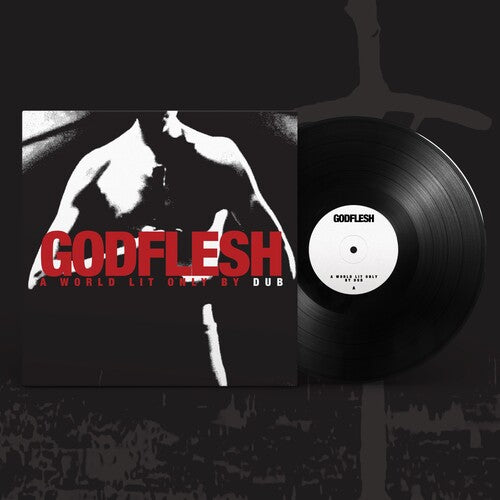 Godflesh A World Lit Only by Dub - Record Album - Vinyl LP