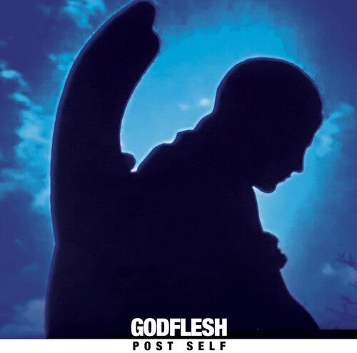 Godflesh Post Self - Record Album - Vinyl LP