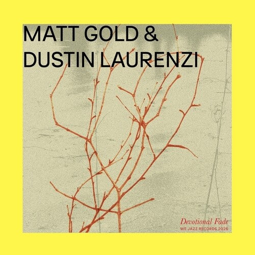 Gold, Matt / Laurenzi, Dustin Devotional Fade - Record Album - Vinyl LP