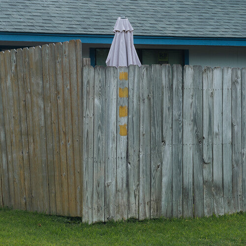 Good Looks Lived Here for a While - Record Album - Vinyl LP