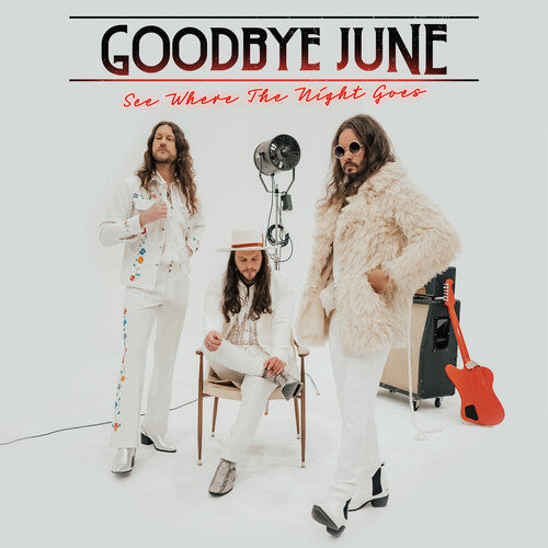 Goodbye June See Where The Night Goes - Record Album - Vinyl LP
