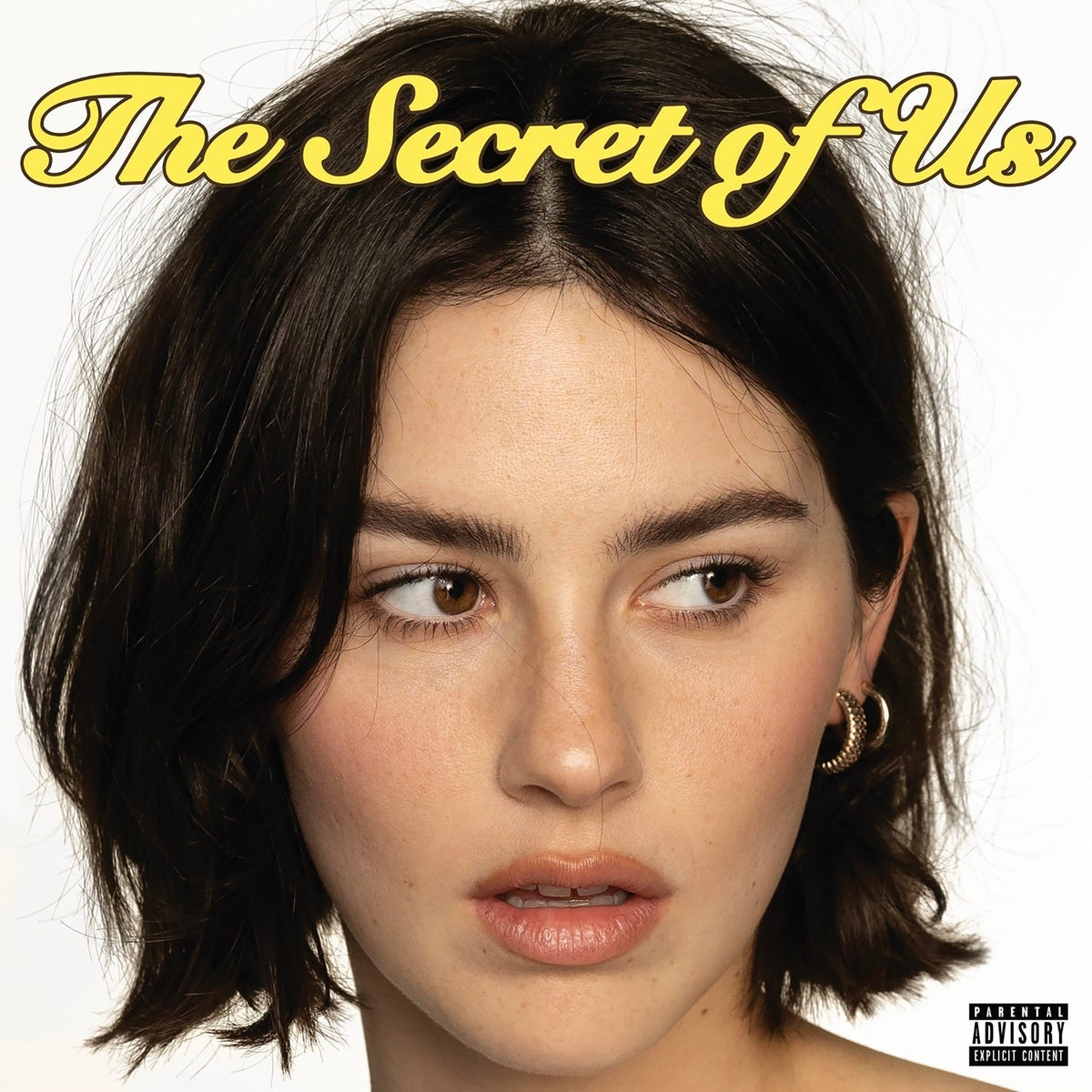 Gracie Abrams The Secret Of Us [Dark Pomegranate LP]