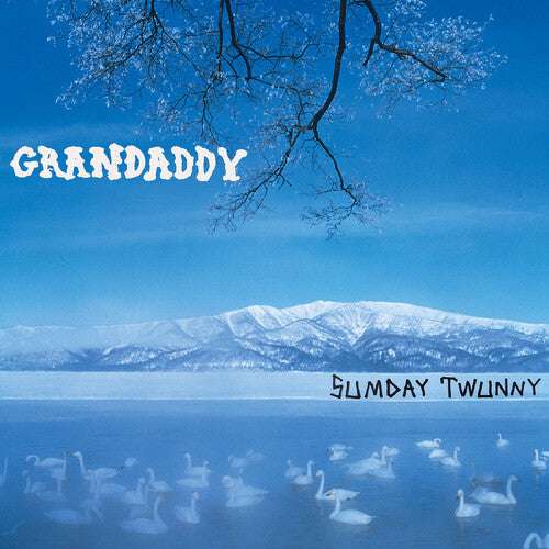 Grandaddy Sumday: Twunny - 4-Disc Record Album - Vinyl LP