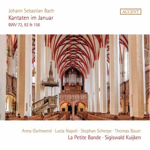 Gschwend Napoli Scherpe Bauer La Petite Bande Kantaten Im Januar - CD Album