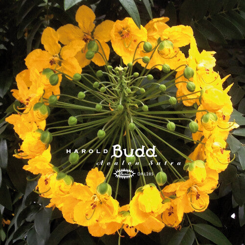 Harold Budd Avalon Sutra - Triple Record Album - Vinyl LP