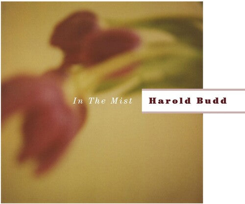 Harold Budd In the Mist - Double Record Album - Vinyl LP