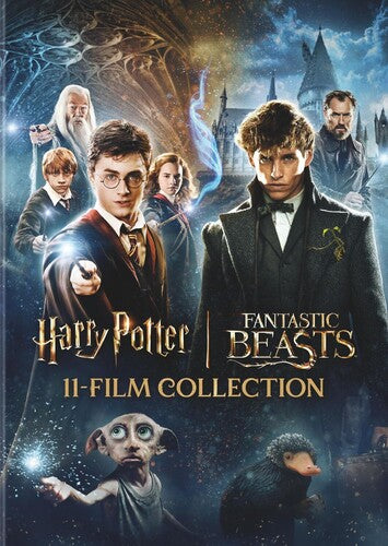 Harry Potter & Fantastic Beasts 11-Film Collection Harry Potter and Fantastic Beasts 11-Film Collection (DVD) - 11-Disc DVD Set