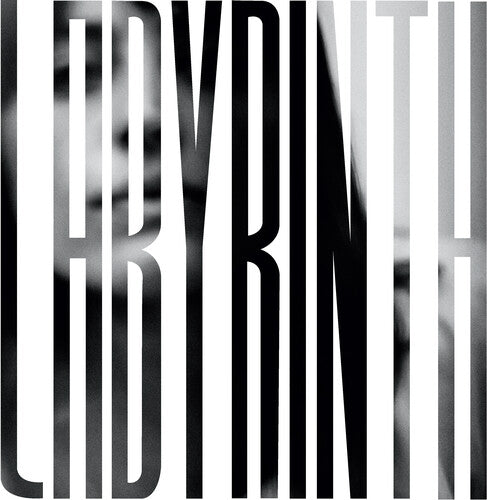 Heather Woods Broderick Labyrinth - Record Album - Vinyl LP