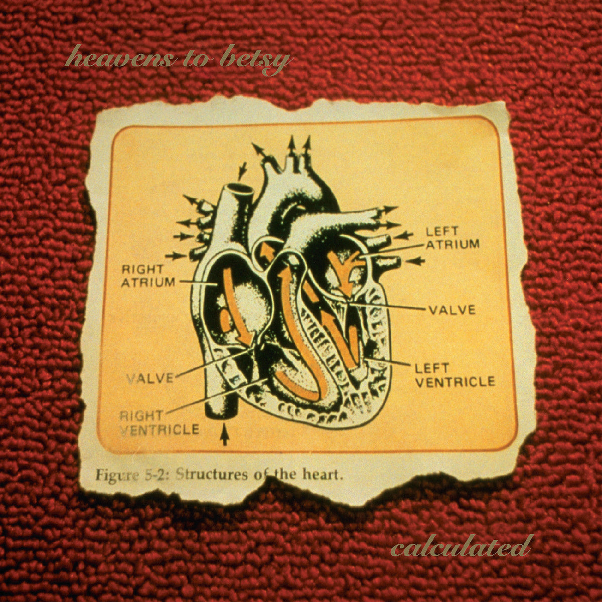 Heavens to Betsy Calculated