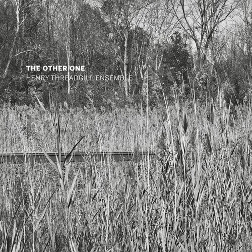 Henry Threadgill Ensemble The Other One - CD Album