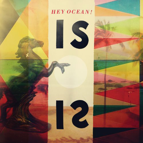 Hey Ocean Is - Double Record Album - Vinyl LP