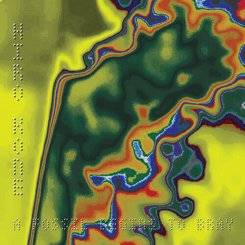 Hiro Kone A Fossil Begins To Bray - Record Album - Vinyl LP