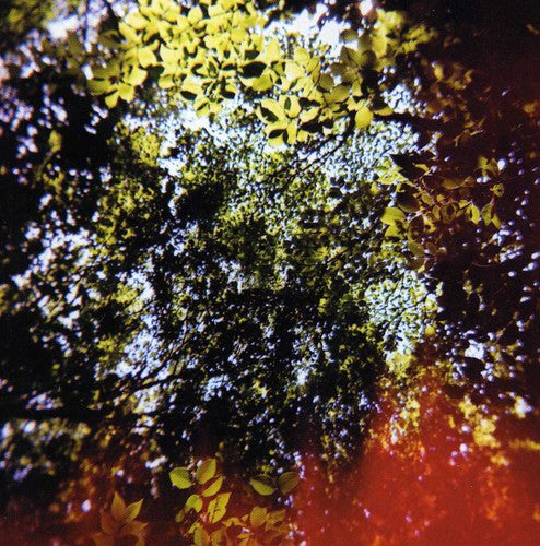 HISATO HIGUCHI Butterfly Horse Street - CD Album