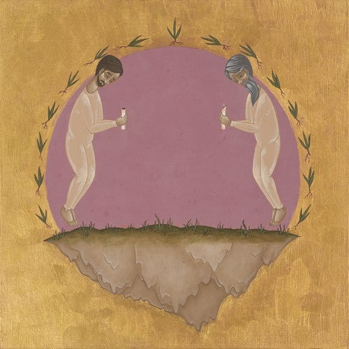 Hospital Ships The Past Is Not A Flood - Record Album - Vinyl LP