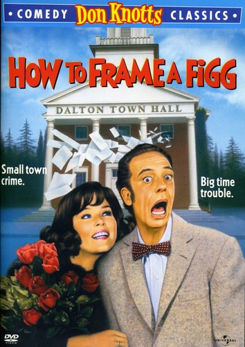 How to Frame a Figg How to Frame a Figg - DVD