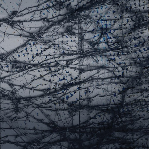 HUMAN RAYS A Tension