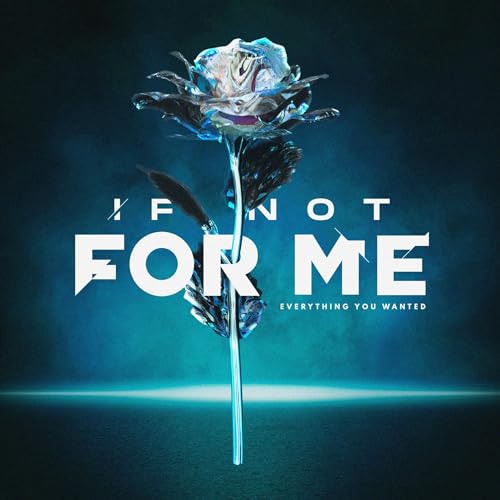 If Not For Me Everything You Wanted - Record Album - Vinyl LP