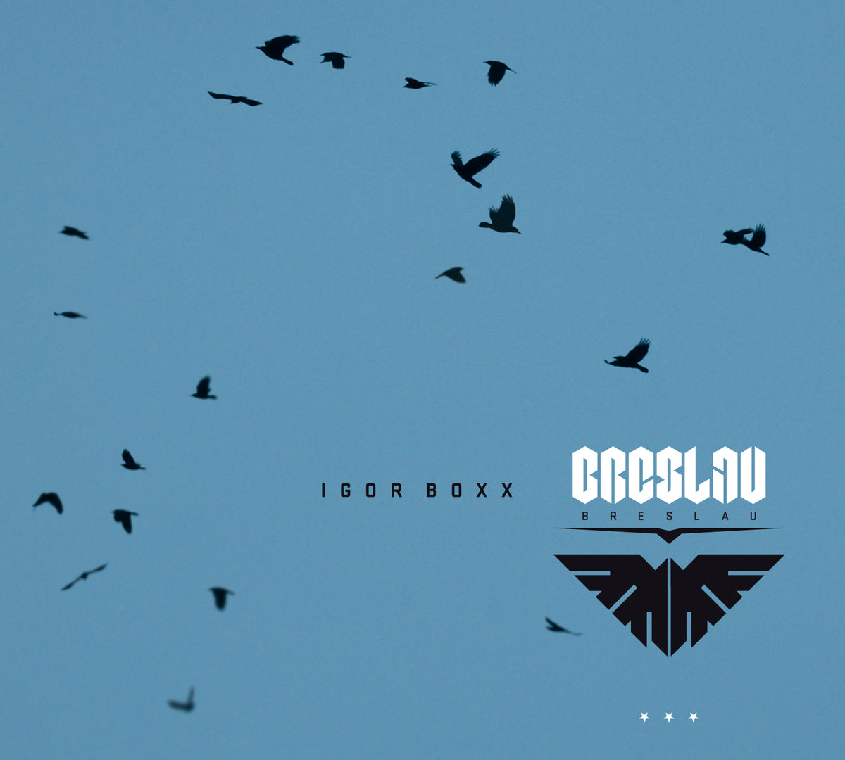 Igor Boxx Breslau