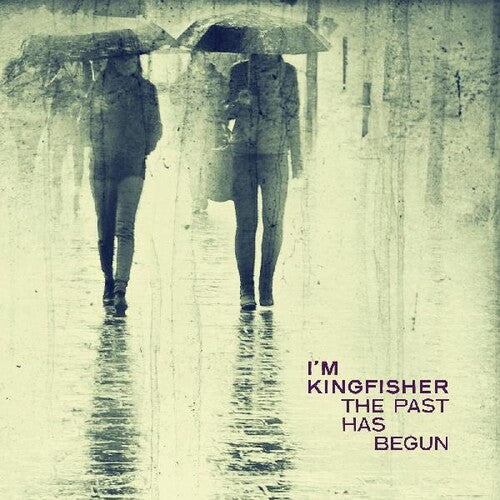 I'm Kingfisher The Past Has Begun - Record Album - Vinyl LP