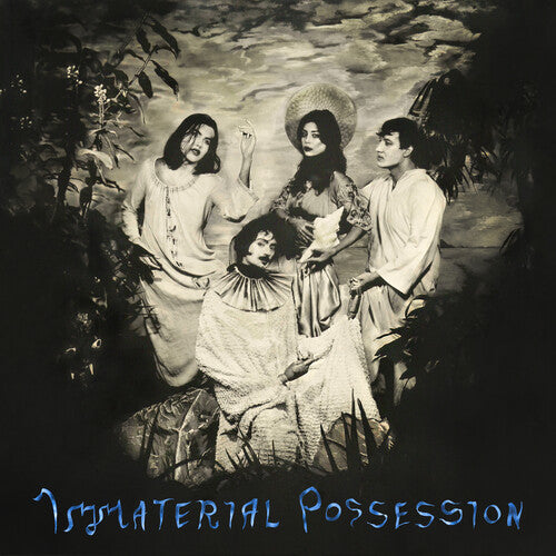 Immaterial Possession Immaterial Possession - Record Album - Vinyl LP