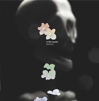 IN THE COUNTRY Whiteout