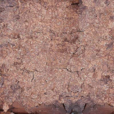 INDIGNANT SENILITY Consecration Of The Whipstain