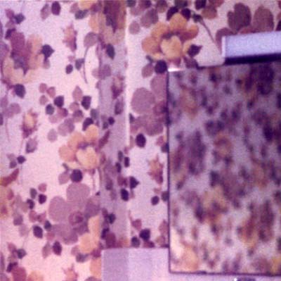 INDIGNANT SENILITY Plays Wagner