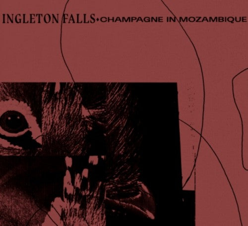 Ingleton Falls Champagne In Mozambique - Record Album - Vinyl LP